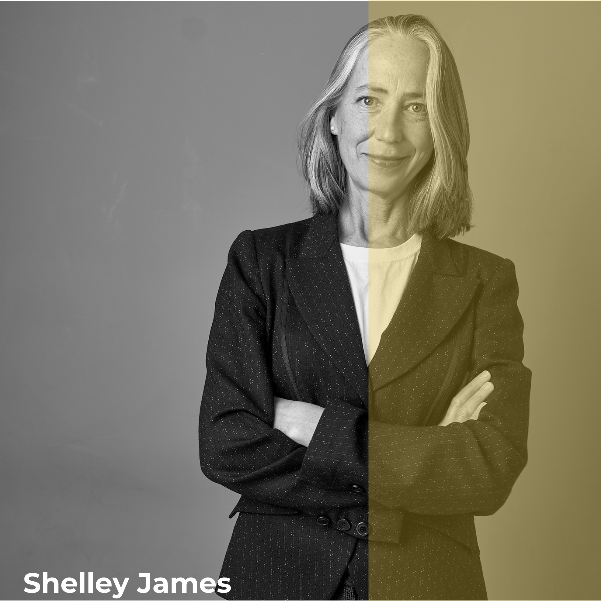 Dr Shelley James Advisory Board The lighting police 